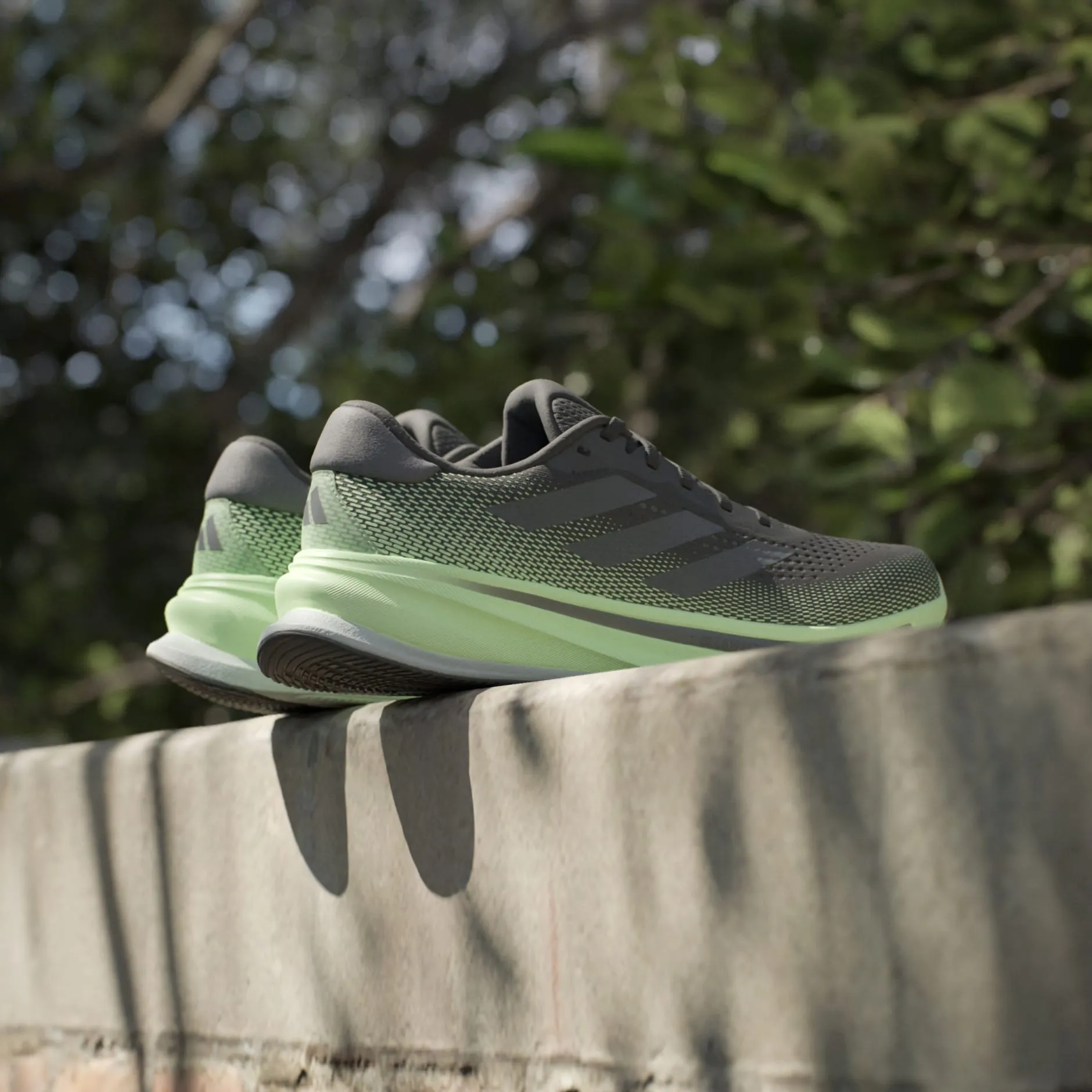Adidas Supernova Rise (Men's)