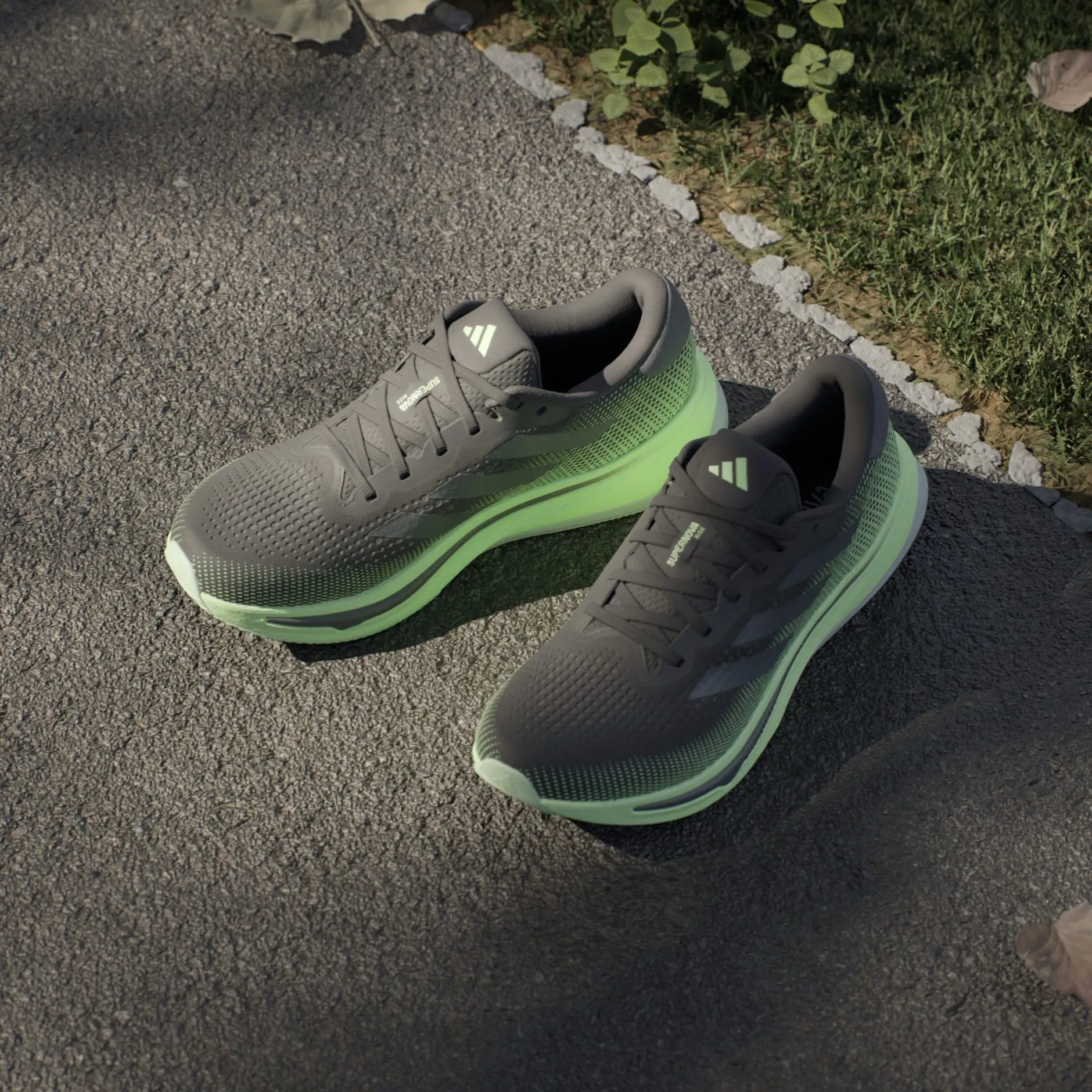 Adidas Supernova Rise (Men's)