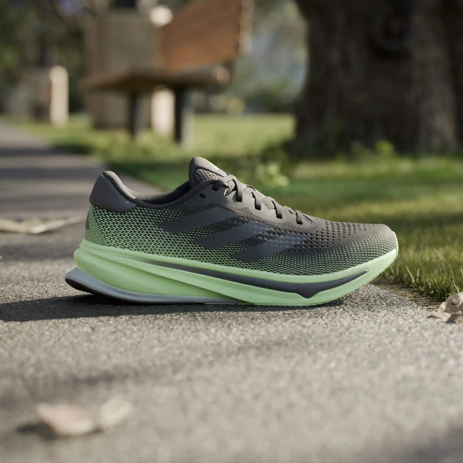 Adidas Supernova Rise (Men's)