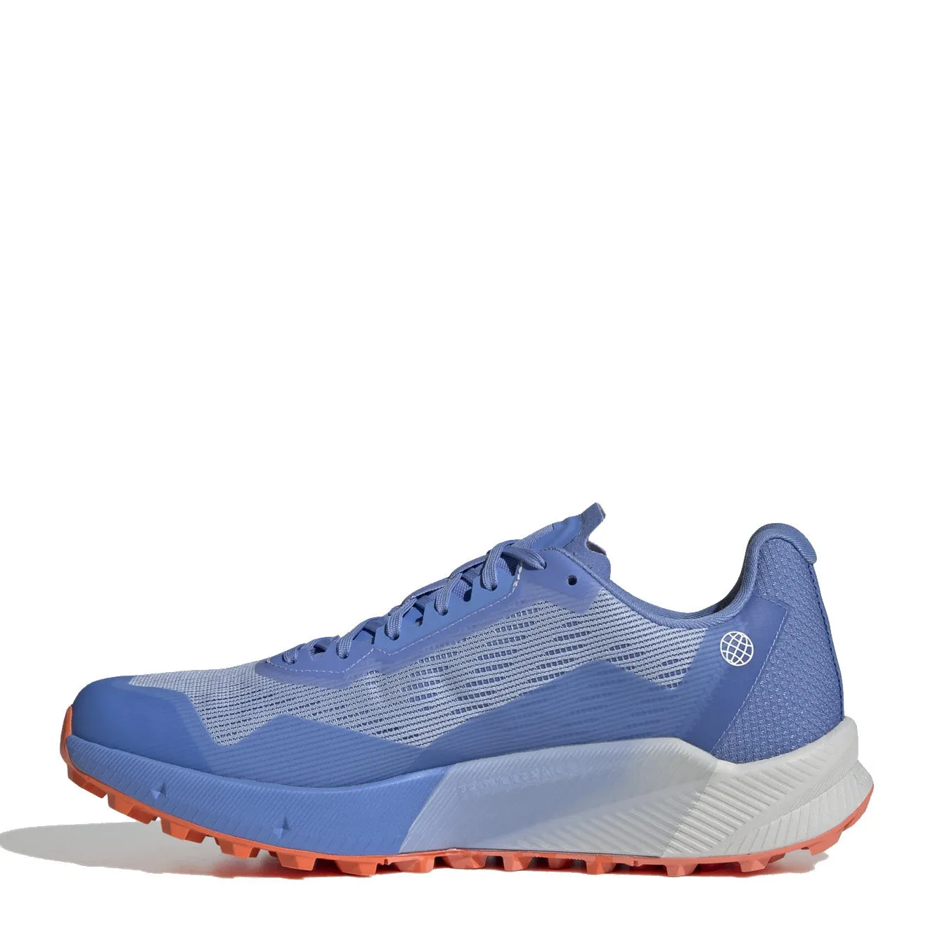 Adidas Terrex Men's Agravic Flox 2 Gore-Tex Bludaw / Blufus / Impora