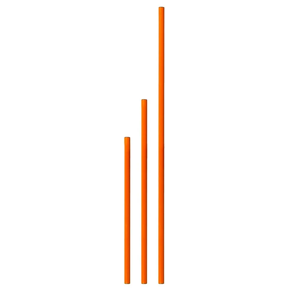 Agility Poles