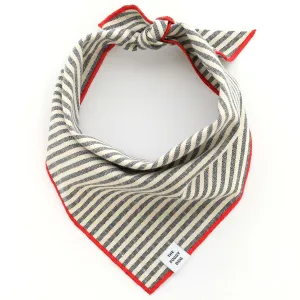 Dog Bandana: Size Medium