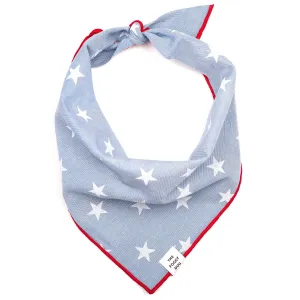 Dog Bandana: Size Small
