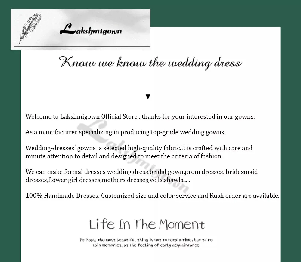 Lakshmigown Lace Chiffon A Line Women Wedding Dress for Women 2024 Spaghetti Straps Bridal Gown Custom Made hochzeitskleid
