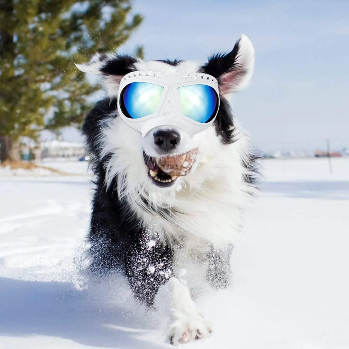 Namsan Dog Goggles-Sunglasses for Large Dogs