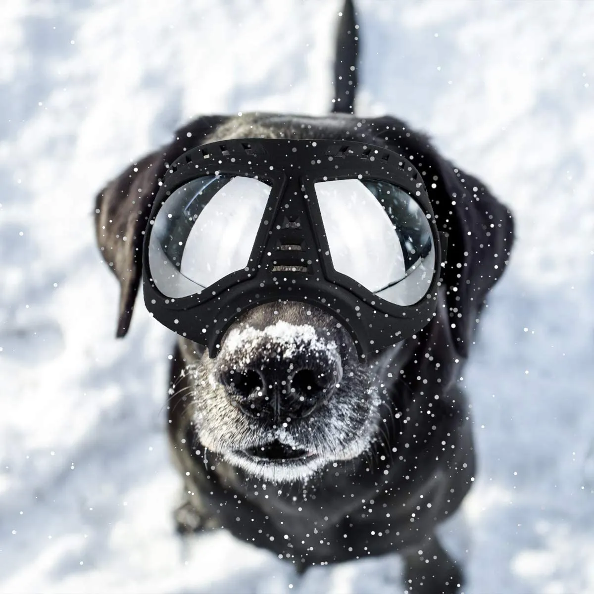 Namsan Dog Goggles-Sunglasses for Large Dogs