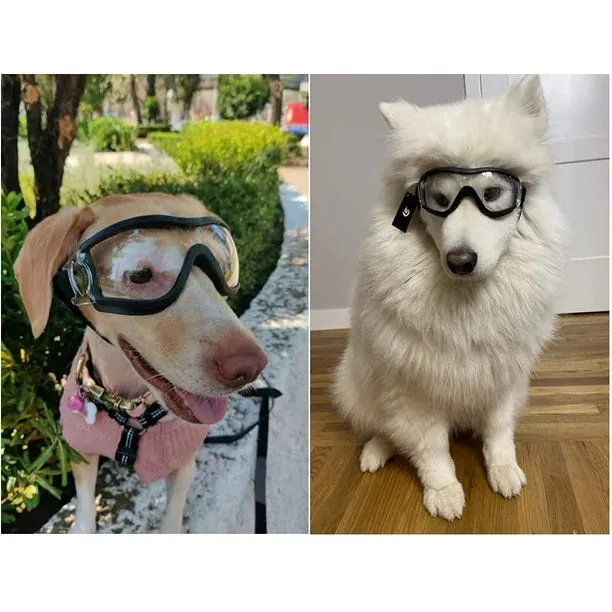 New Dog Goggles for Medium Large Breed Dog Eye Protection Sunglasses Windproof UV-Proof Goggles for Outdoor, Clear Lens & Adjustable Head Straps
