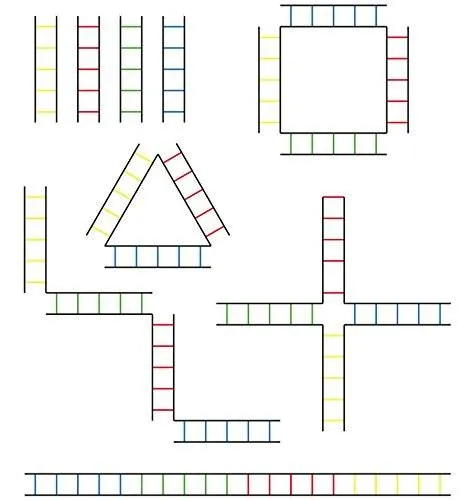 Ram Rugby Agility Ladder - Quad - 13 Feet