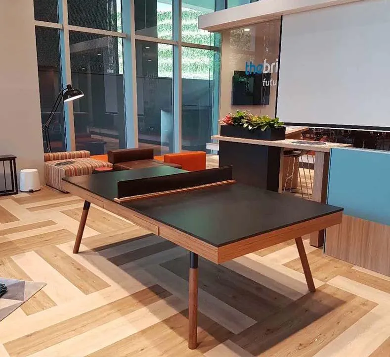 Roma Convertible Table Tennis Table