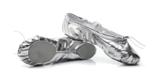Silver   Gold Ballet Slippers