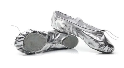 Silver   Gold Ballet Slippers