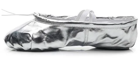 Silver   Gold Ballet Slippers