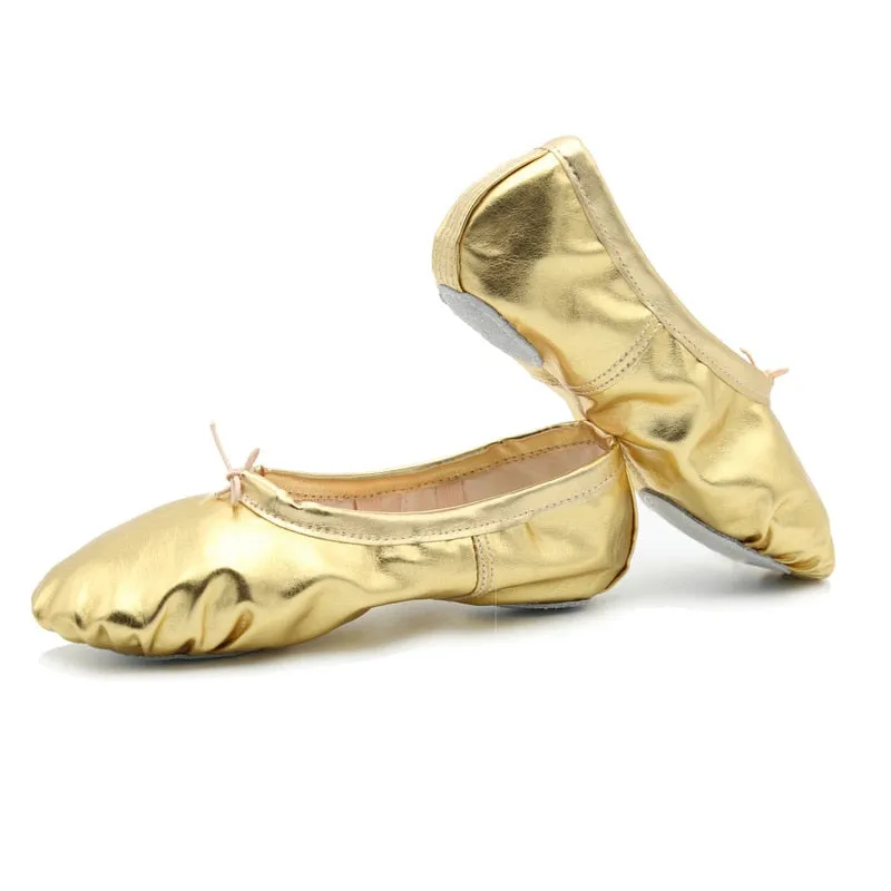 Silver   Gold Ballet Slippers