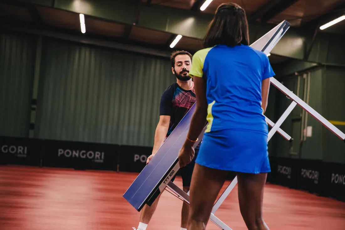 Table Tennis Table TTT 100
