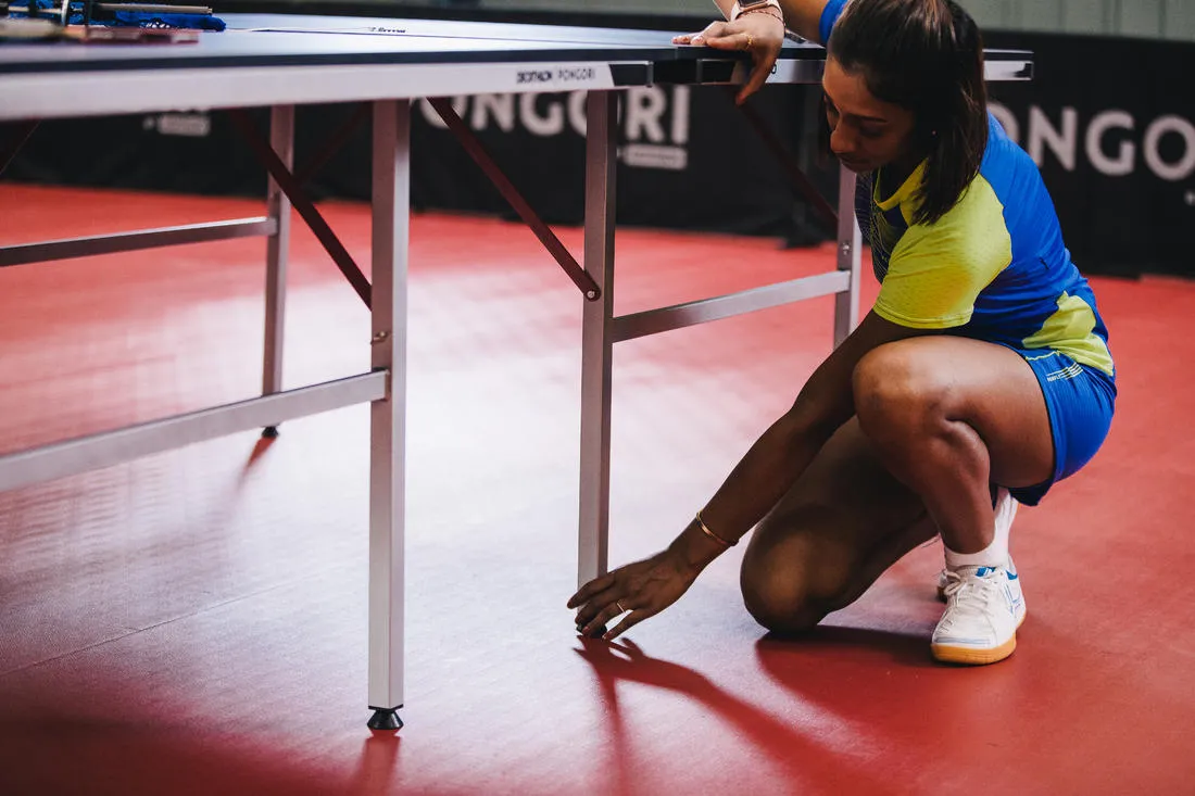 Table Tennis Table TTT 100