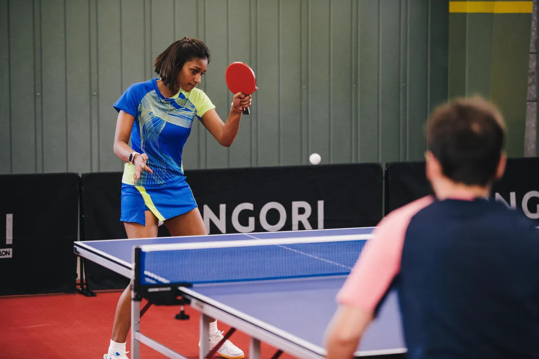 Table Tennis Table TTT 100