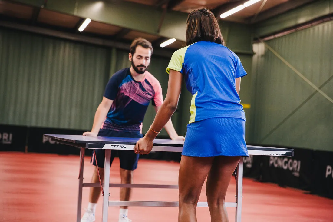 Table Tennis Table TTT 100