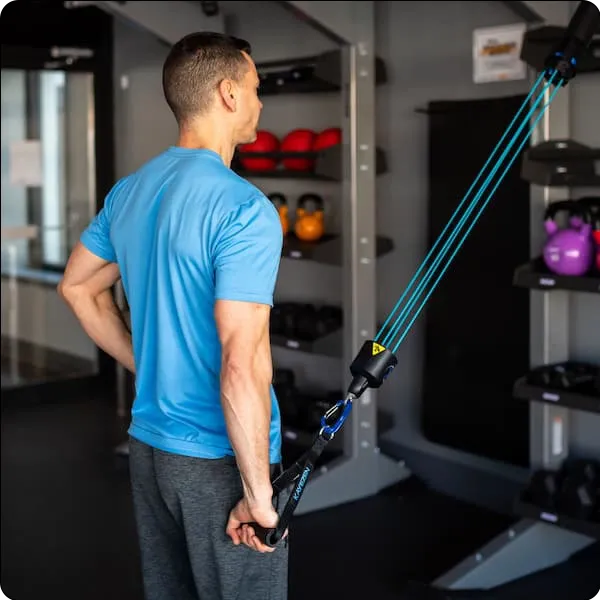 VECTOR Pro System